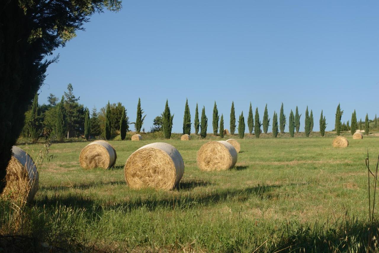 Ferienwohnung Giaggiolo Poggibonsi Exterior foto